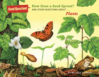 How Does a Seed Sprout?: And Other Questions About Plants (Good Question!)