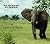 Elephant Summer by Douglas Jackson Channell