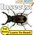 Insects!