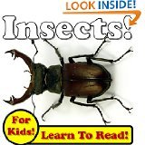 Insects!