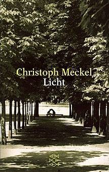 Licht (Paperback)