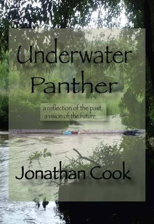 Underwater Panther (Paperback)