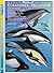 Channel Islands Ocean Animals (Weekend Naturalist Nature Guide Foldout #6)