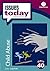 Child Abuse (Issues Today, ...