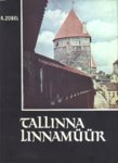 Tallinna linnamüür (Hardcover)
