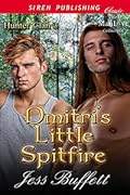 Dmitri's Little Spitfire