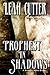 Prophesy In Shadows