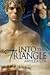 Into the Triangle