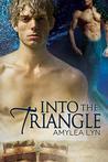 Into the Triangle (Kindle Edition)