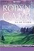 Na de storm by Robyn Carr