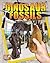 Dinosaur Fossils (If These Fossils Could Talk)