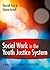 Social Work in the Youth Ju...