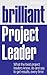 Brilliant project leader