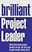 Brilliant project leader by Mike Clayton