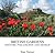 British Gardens by Tom  Turner