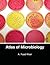 Atlas of Microbiology
