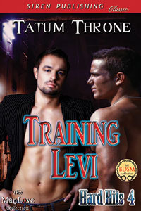 Training Levi (Hard Hits, #4)
