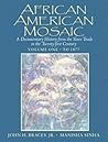 African American Mosaic: A Documentary History from the Slave Trade to the Twenty-First Century, Volume One: To 1877