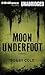 Moon Underfoot