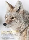 Yellowstone Wildlife by Paul A. Johnsgard Yellowstone Wildlife by Paul A. Johnsgard