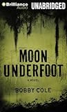 Moon Underfoot