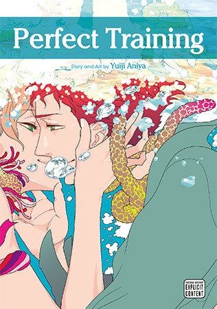 Perfect Training (ebook)