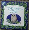 Brave Little Owl by Gill Davies
