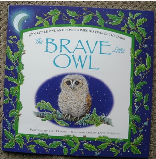 Brave Little Owl (Paperback)