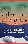 Wolverine Cirque by Joseph Olshan