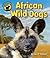 African Wild Dogs
