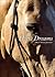 Horse Dreams
