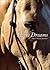 Horse Dreams