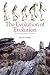 The Evolution of Evolution by Walter Stephen