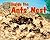 Inside the Ants' Nest (Snug as a Bug: Where Bugs Live)