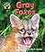 Gray Foxes