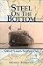 Steel on the Bottom by Frederick Stonehouse