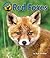 Red Foxes