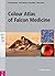 Colour Atlas of Falcon Medicine by Renate Wernery