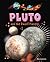 Pluto and the Dwarf Planets