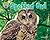 Spotted Owl (Science Slam: Treed-Animal Life in the Trees)