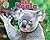 Koala (Science Slam: Treed-Animal Life in the Trees)
