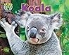 Koala (Science Slam: Treed-Animal Life in the Trees)