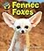 Fennec Foxes