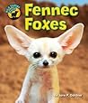 Fennec Foxes (Wild Canine Pups)