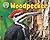 Woodpecker (Science Slam: Treed-Animal Life in the Trees)