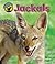 Jackals