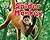 Spider Monkey (Science Slam: Treed-Animal Life in the Trees)
