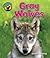Gray Wolves