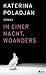 In einer Nacht, woanders