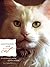Conversations with Cat: An Uncommon Catalog of Feline Wisdom